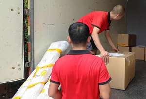 �Ƹ���;���